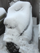 winter_scoot