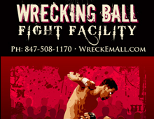 Wrecking Ball Fight Facility Brochure